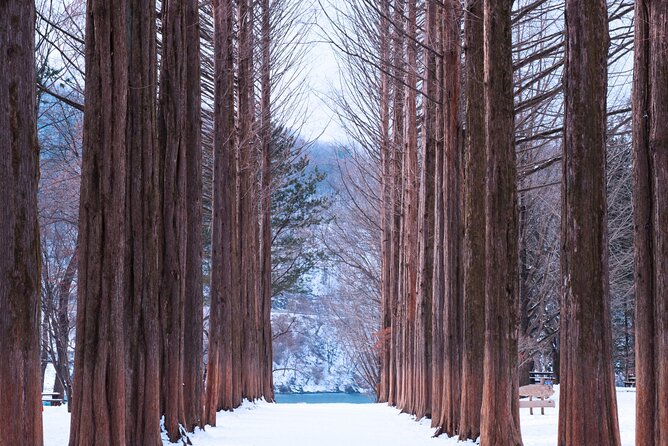 Eobi Valley(Winter), Strawberry, Nami Island & Railbike fr Seoul - From central Seoul to Yangsu-ri: how the ride sets the tone