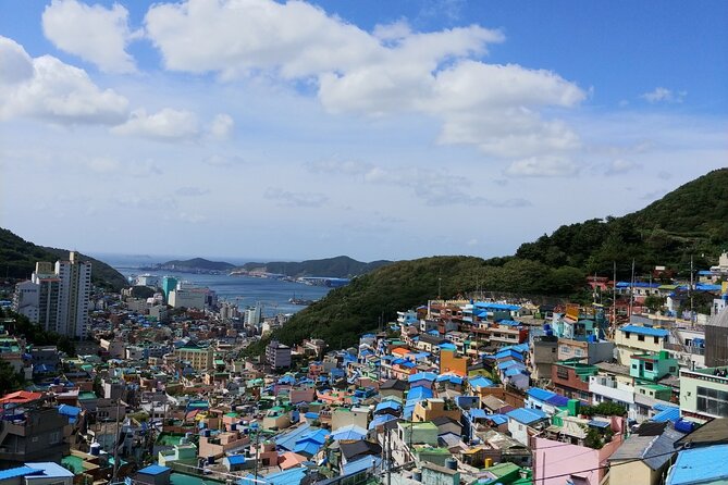 Essence Korea 3days Ptivate Tour(West/East) - Day 3: Mokpo, APEC Naru Park, and Busan’s Gamcheon art streets