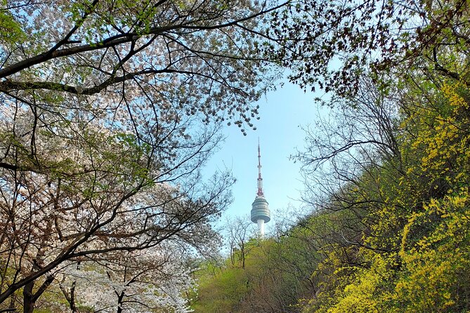 Essence of Seoul, 100% Private Full Day City Tour - Namdaemun Market: affordable finds and real-day Seoul energy