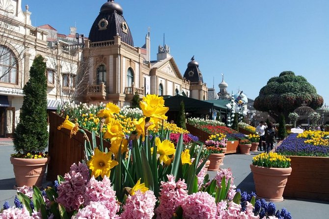EVERLAND "From Hotel to Hotel" [Premium Private Tour: Only One Group for You] - Hotel-to-hotel convenience that really matters in Seoul