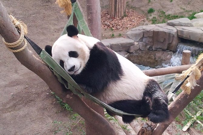 EVERLAND "From Hotel to Hotel" [Premium Private Tour: Only One Group for You] - Price and value: what your $188 actually buys
