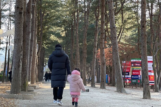 Four Seasons of Nami Island with Garden of Morning Calm Tour - Who should book this Nami Island and Garden of Morning Calm tour?