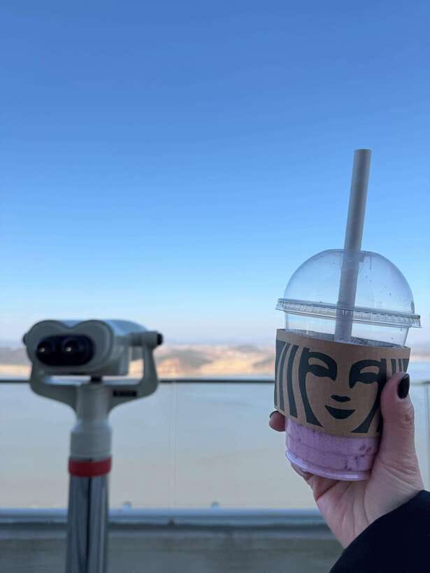 From Seoul: Aegibong Starbucks Observatory & DMZ View - Your 5-hour route from Seoul: Eco Park first, Jogang Observatory next