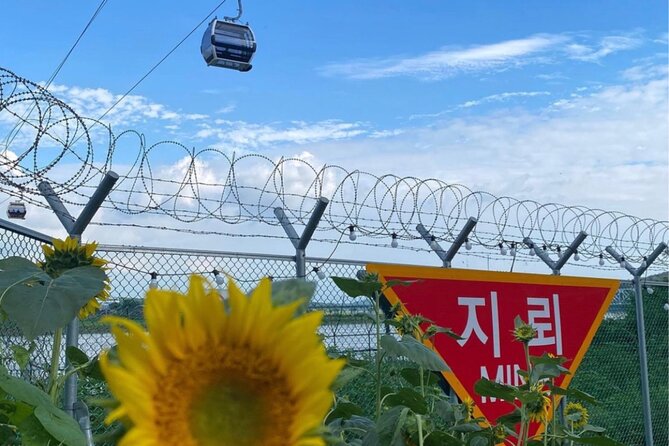 From Seoul: Cost-Benefit DMZ Shuttle Bus tour - Group size and the vibe: small enough to feel human