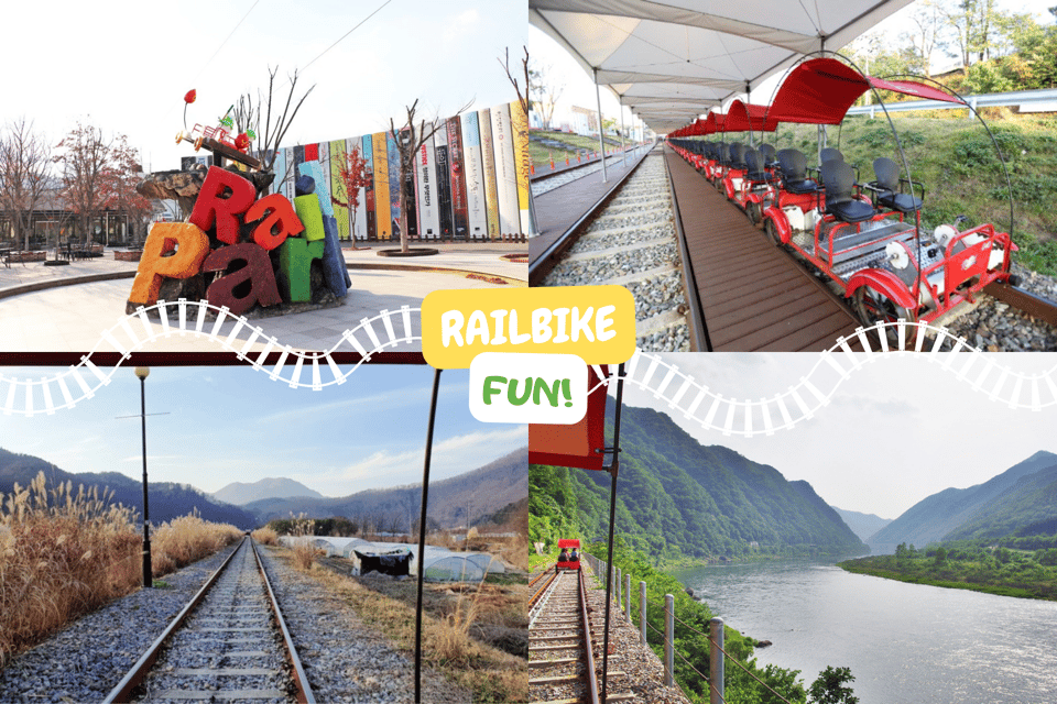 From Seoul: Full Day Trip to Alpaca Farm with Rail Bike - Key points that matter before you go