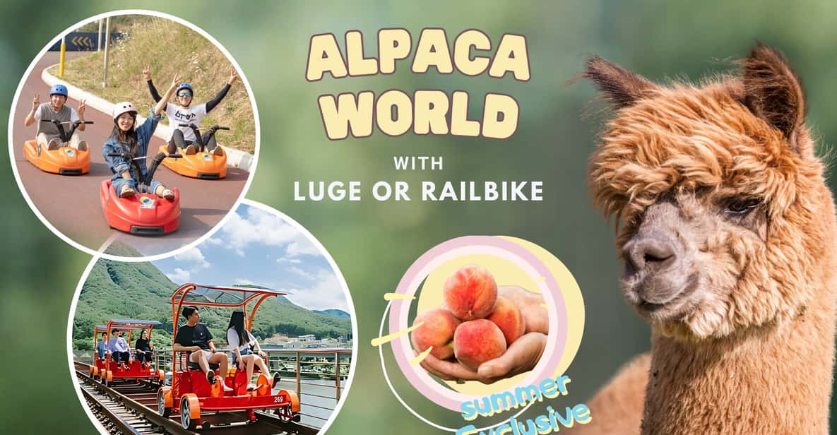 From Seoul: Full Day Trip to Alpaca Farm with Rail Bike - Should you book this Gangwon alpaca and rail-bike day trip?