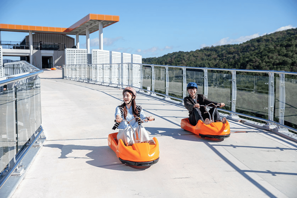 From Seoul: Full Day Trip to Alpaca Farm with Rail Bike - Who should book this tour (and who should skip it)