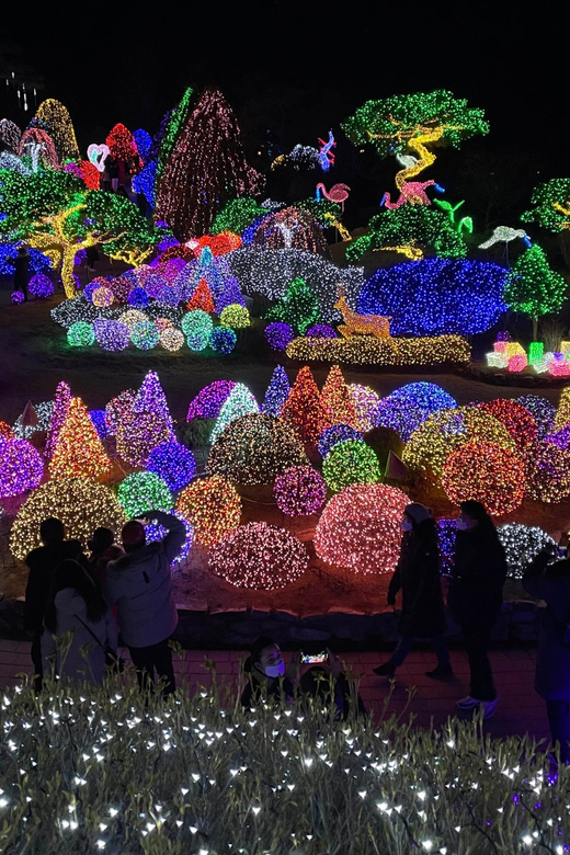 From Seoul: Hwacheon Ice Fishing and Lighting Festival Tour - Price and time value: is $67 a good deal?