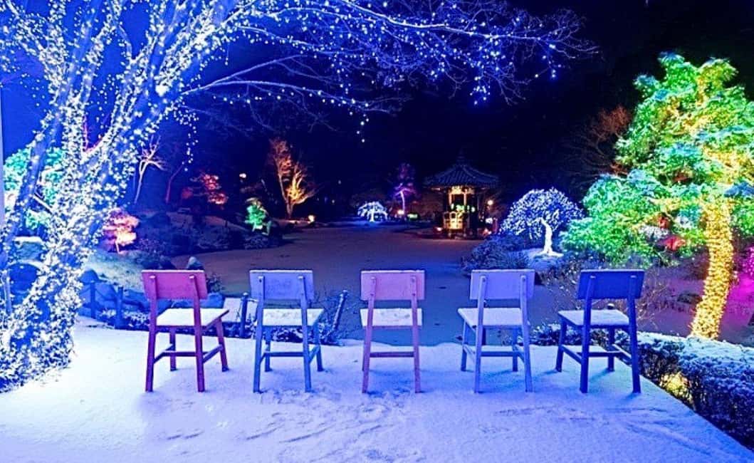 From Seoul: Hwacheon Ice Fishing and Lighting Festival Tour - Hwacheon plus Morning Calm: why this pairing works