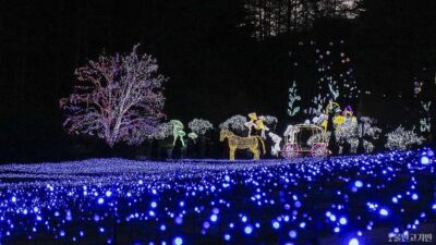 From Seoul: Hwacheon Ice Fishing and Lighting Festival Tour - Getting there from Seoul: coach time that you should plan for