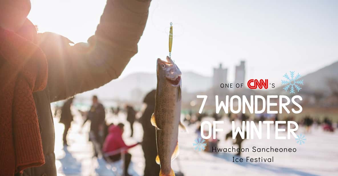 From Seoul: Hwacheon Ice Fishing and Lighting Festival Tour - Garden of Morning Calm at night: winter-only lighting done right