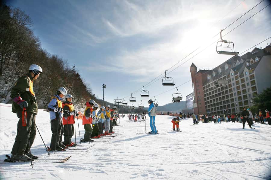 From Seoul: Korea Ski Tour - Jisan Forest Resort - Seoul to Jisan: the morning drive and how the timing works