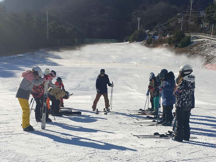 From Seoul: Korea Ski Tour - Jisan Forest Resort - Price and value: is $35 worth a full ski lesson and transport?