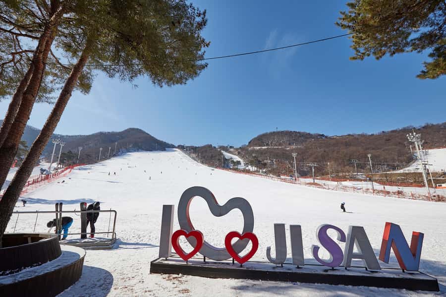 From Seoul: Korea Ski Tour - Jisan Forest Resort - Who this tour fits best (and who should skip it)