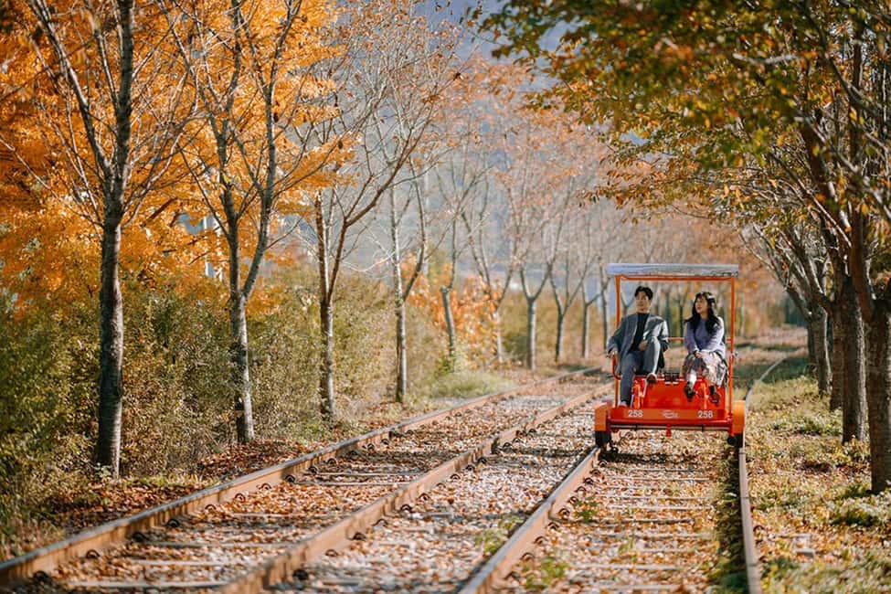 From Seoul: Nami Island, K-drama Garden & Rail Bike Day Tour - Nami Island: the K-drama photo loop, minus the planning headache