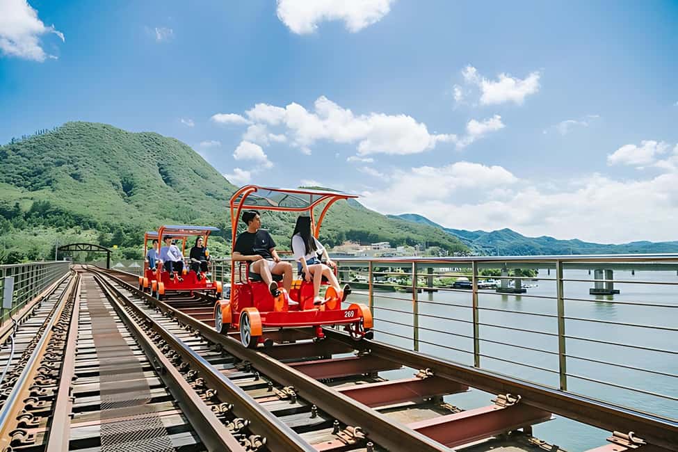 From Seoul: Nami Island, K-drama Garden & Rail Bike Day Tour - What you might not love (and how to plan around it)