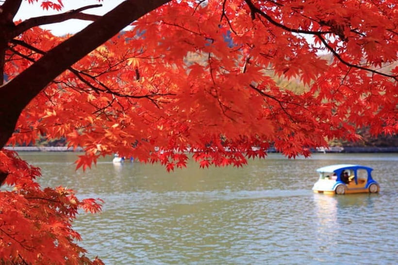 From Seoul: Pocheon, Sanjung Lake and Bidulginang Fall Trip - Getting your money’s worth: included admissions vs. your extra costs