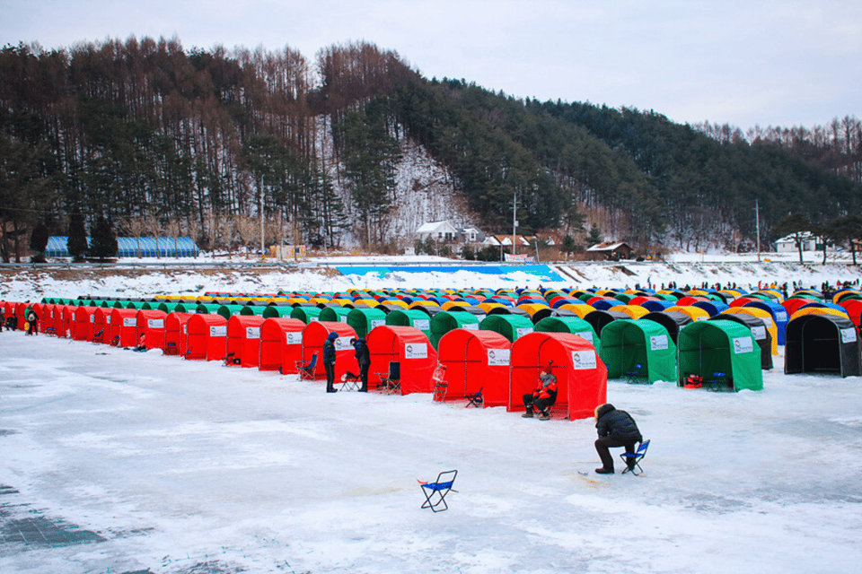 From Seoul: Pyeongchang Trout Festival - The part that turns effort into a meal: grilled trout and sashimi