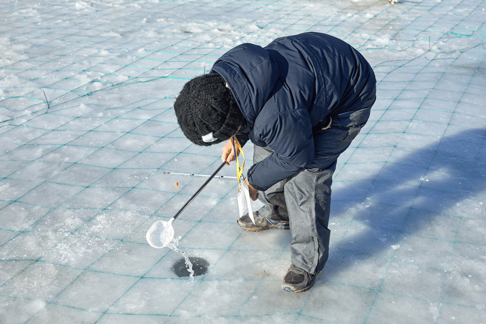From Seoul: Pyeongchang Trout Festival - Day-trip pacing: what your time feels like on-site