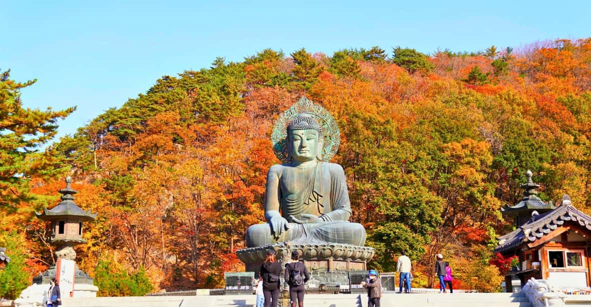 From Seoul: Seoraksan Mountain with Cable Car- Shuttle Bus - Key things I’d circle before you book