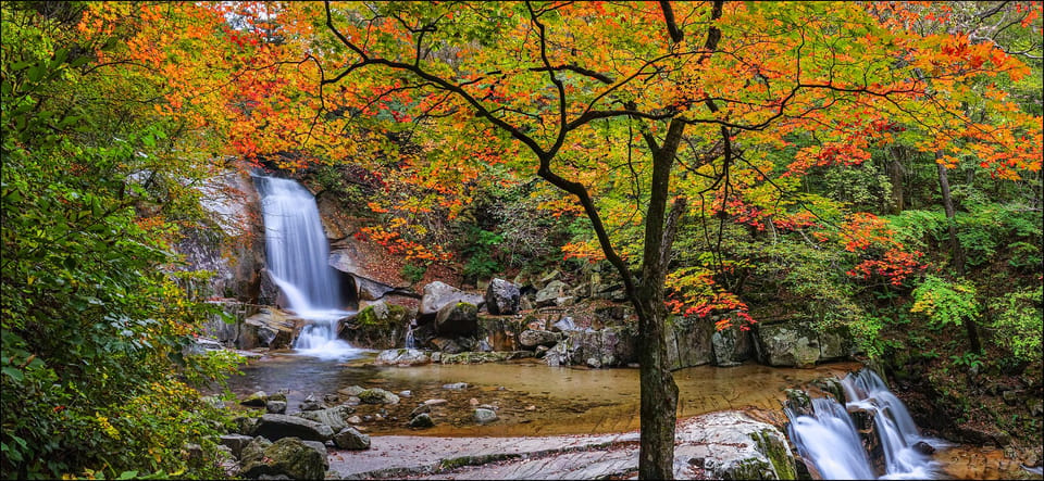 From Seoul: Seoraksan Mountain with Cable Car- Shuttle Bus - Seoraksan National Park in October: Mount Seorak’s autumn views