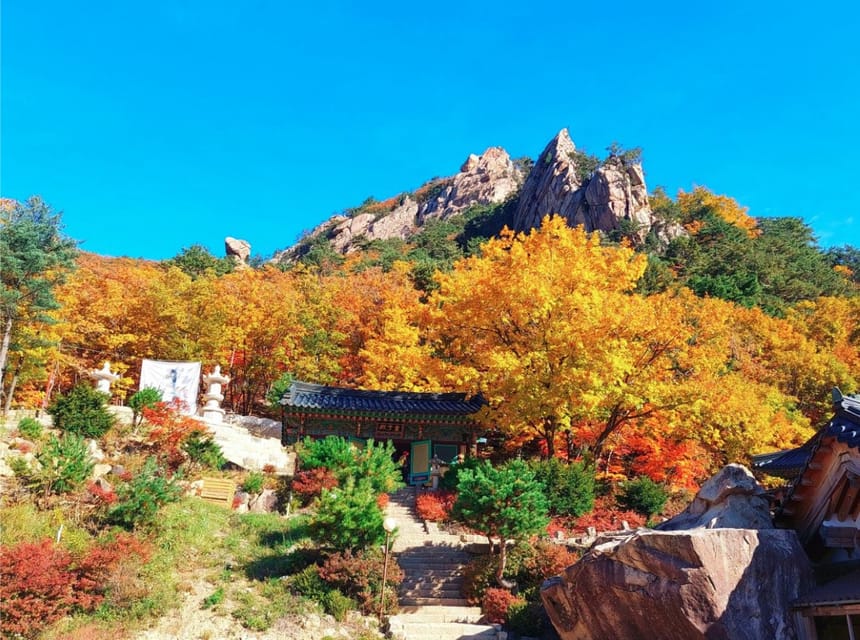 From Seoul: Seoraksan Mountain with Cable Car- Shuttle Bus - Who this tour suits best (and who should skip it)