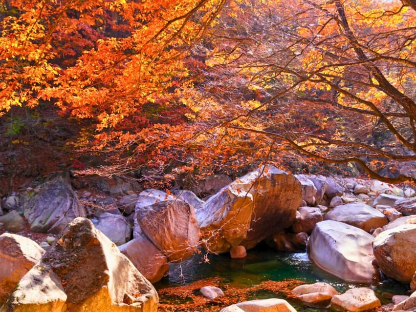 From Seoul: Seoraksan Mountain with Cable Car- Shuttle Bus - Quick tips to make your Seoraksan day feel calm