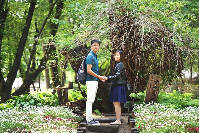 Full-Day Customizable Private Tour to Nami Island and surrounding Area - Nami Island: how to enjoy Winter Sonata without wasting your day