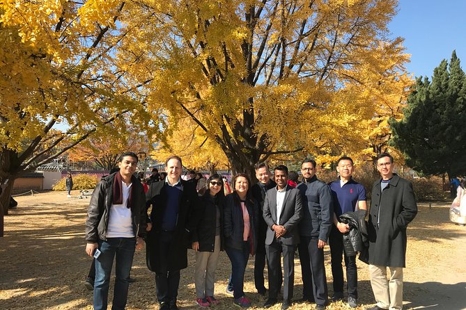 [ Full Day ] Nami Island & Petit France From Seoul - The English guide factor: why explanations make the day feel better