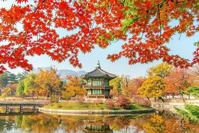 Full Day Private Seoul Tour for foodies - Everland + Lotte World: when the itinerary turns into pure fun