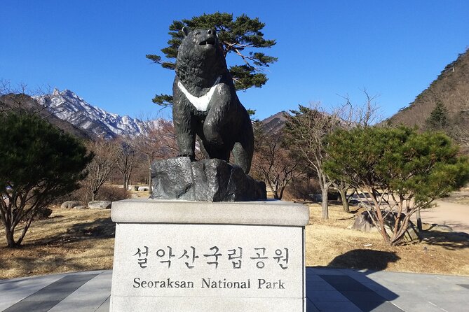 Full-Day Tour in Mt. Seorak & Nami (+Rail Bike Option) - Morning Pickup and the Reality of a 14–16 Hour Schedule