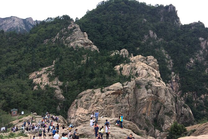 Full-Day Tour in Mt. Seorak & Nami (+Rail Bike Option) - Seoraksan National Park and Shinheungsa Temple: Hike vs Cable Car