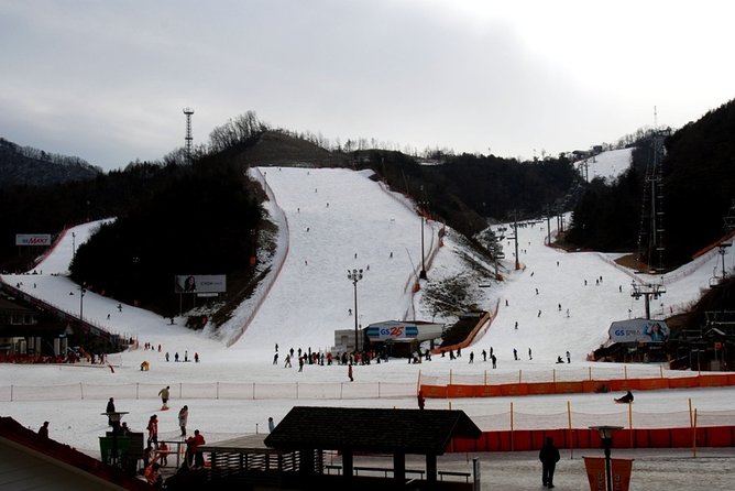Gangchon Elysian Ski Day Trip from Seoul - The hidden extras: ginseng or duty-free shopping stops