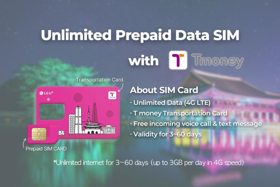 Gimpo Airport: Traveler SIM and T-money Transportation Card - Key Points You’ll Actually Care About