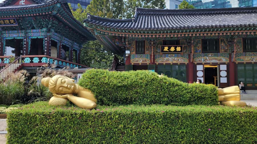 Gyeongbokgung Palace, Jogyesa Temple and Bukchon village - A Traditional Drink Break Inside the Palace