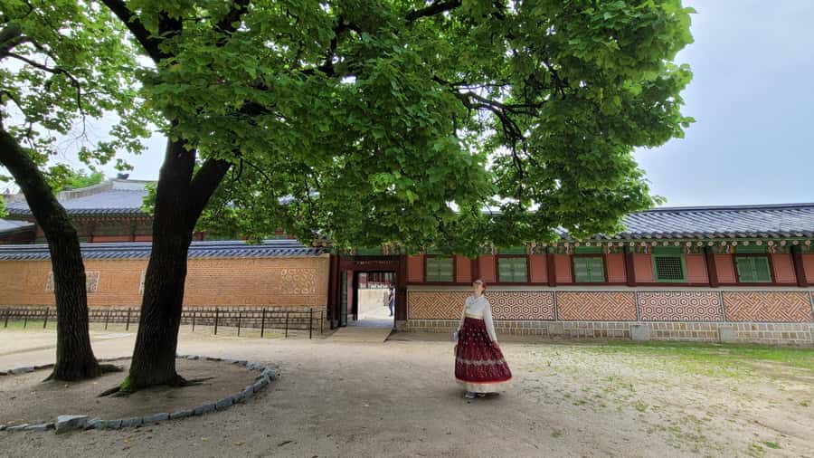 Gyeongbokgung Palace, Jogyesa Temple and Bukchon village - Gwanghwamun Square and King Sejong: How the Past Meets Today