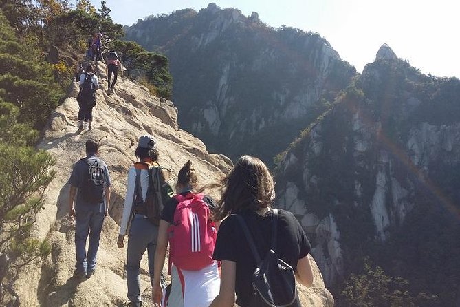 Hike at Mt. Bukhansan National Park with professional Guide(including Lunch) - Hotel pickup, private transport, and how the day stays paced