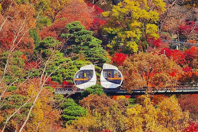 Hwadam Botanic Garden and Namhansanseong and Folk Village Trip - How this 10-hour Seoul tour is really paced