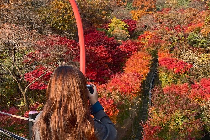 Hwadam Botanic Garden and Namhansanseong and Folk Village Trip - Pickup and timing: what the day feels like from the first bus ride
