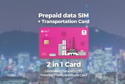 Incheon Airport: Traveler SIM & T-money Transportation Card - Where to Find the LG U+ Counter After Customs