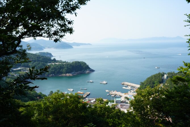 Jeonju & Yeosu: 4-Day Foodie & Artist Journey - Day 1 in Yeosu: Market-to-seafood, with Hyun keeping it friendly