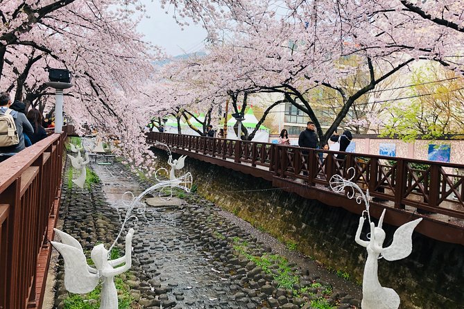 Jinhae Cherry Blossom + Busan Sunrise from Seoul - The Night Start: Timing, Sleep, and Meeting-Point Reality