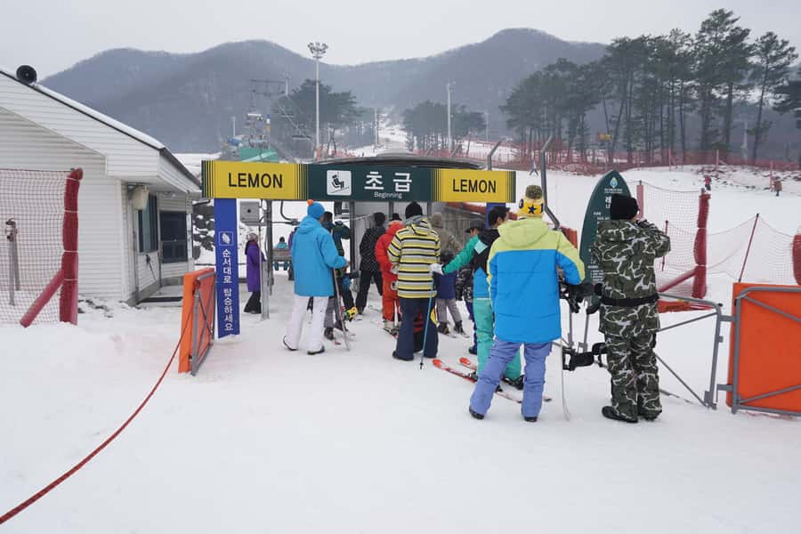 Jisan Forest Resort: Ski Full-Day Tour or Shuttle from Seoul - The main idea: a short, workable ski day from Seoul
