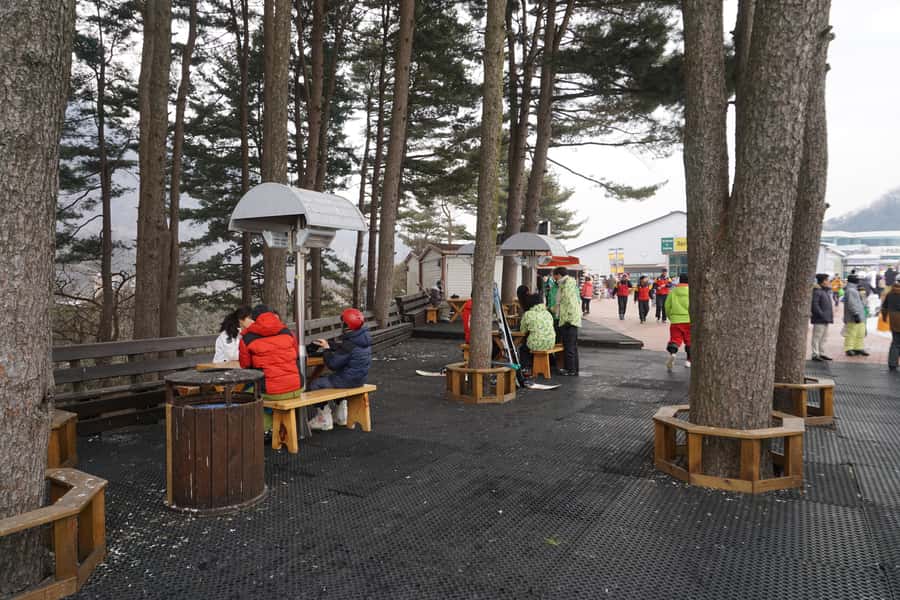 Jisan Forest Resort: Ski Full-Day Tour or Shuttle from Seoul - Slopes for different levels: choosing the right option