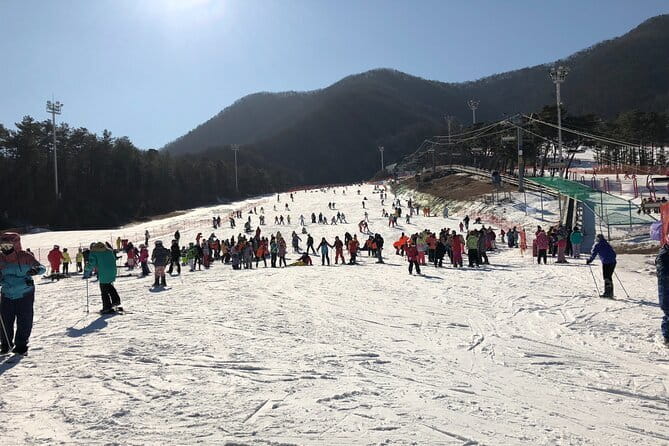 Jisan Forest Ski Resort and Everland 1 Day Tour - Why This Pairing Works: Jisan Ski + Everland in One Long Day