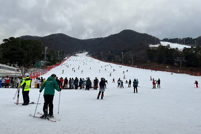 Jisan Forest Ski Resort and Everland 1 Day Tour - The Guide Factor: Andrew’s Style Is What People Remember