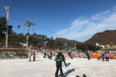 Jisan Forest Ski Resort and Everland 1 Day Tour - Jisan Forest Ski Resort: A Beginner-Friendly Mount With Real Learning Time