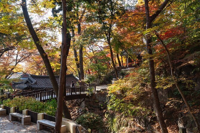 Jisan Forest Ski Resort and Everland 1 Day Tour - Everland: More Than Rides, With Anchors You Can Plan Around