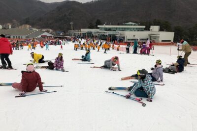 Jisan Ski One Day Tour - Jisan Forest Resort: slopes, beginner lessons, and where lift passes fit