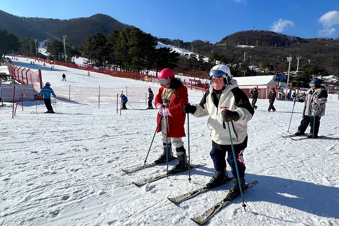 Jisan Ski Resort from Seoul by Shuttle(Opt Winter Skiing Package) - Who This Winter Shuttle to Jisan Fits Best
